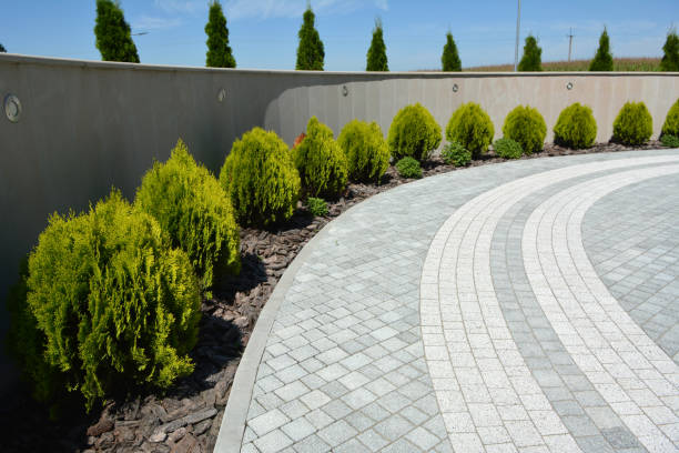 Best Affordable Driveway Pavers  in Seven Mile, AZ